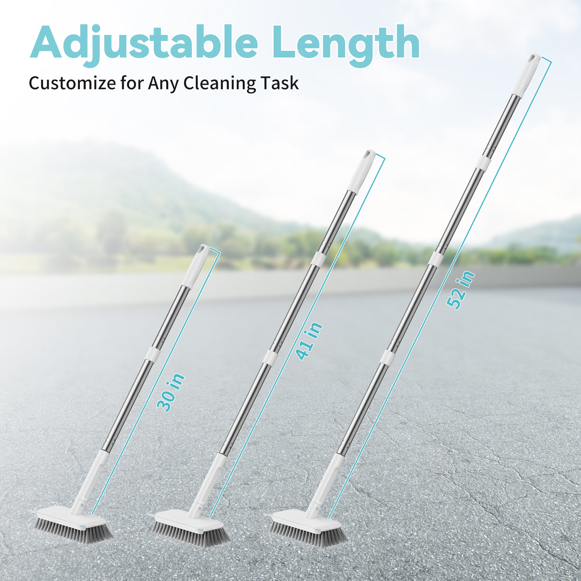 Wire Scrub Brush with Long Handle